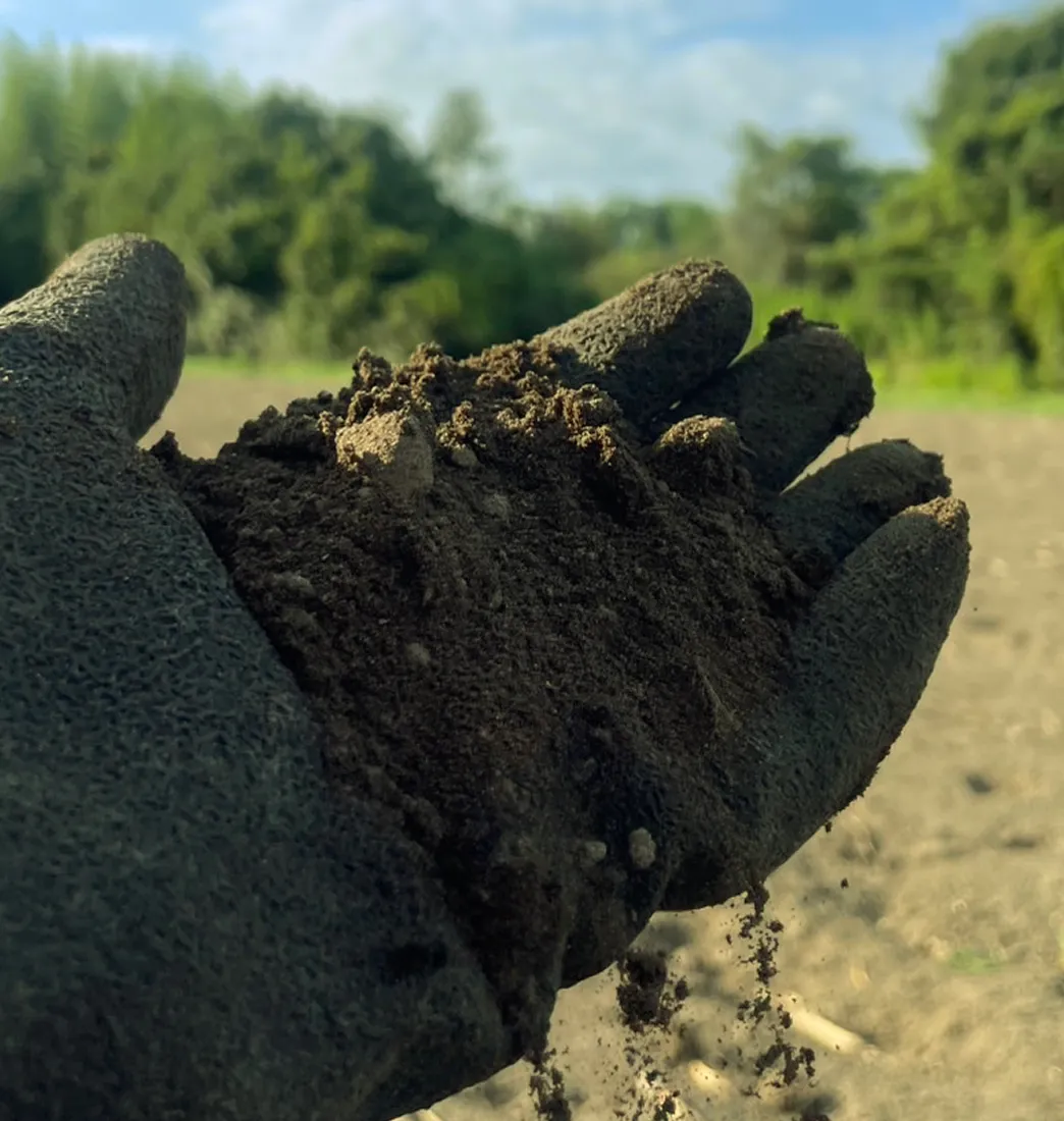 サステナブル活動